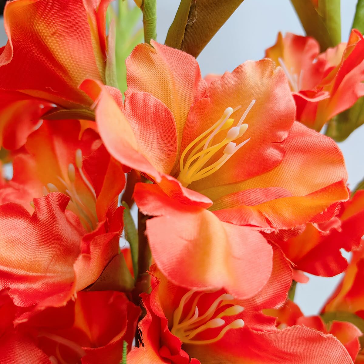 5個 造花の装飾 人工の花の茎 バルク造花 シルク植物オレンジ Amazon.co.jp: Raxcelivia 6個パック - グラジオラスの花 造花蘭植物